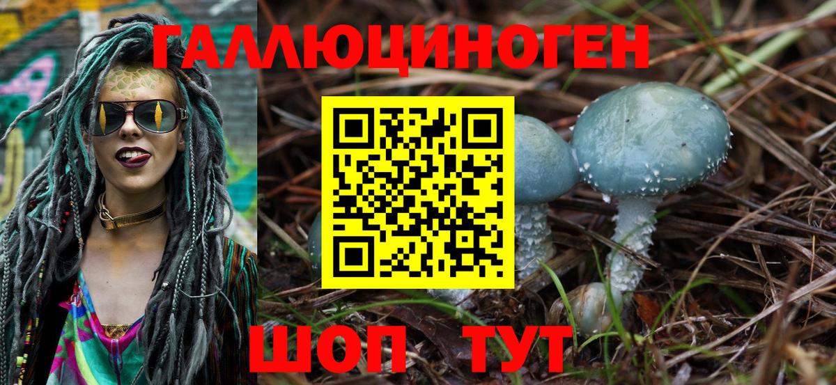 Псилоцибиновые грибы мицелий Самара
