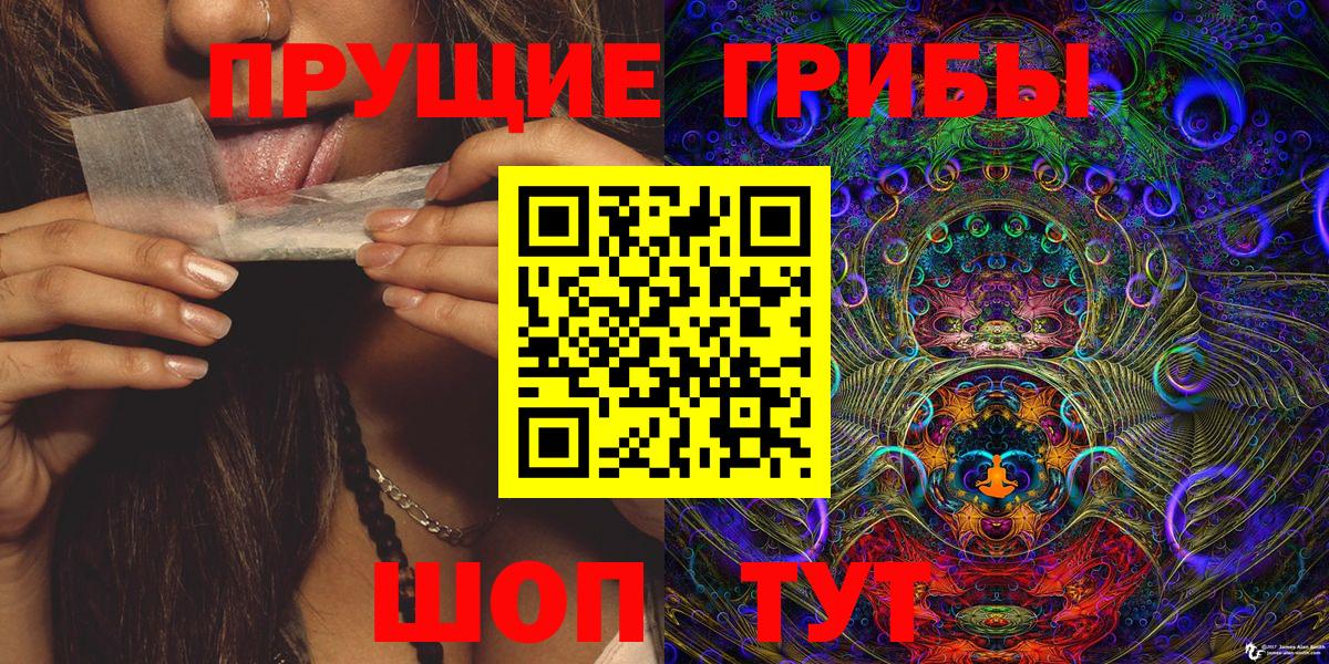 Псилоцибиновые грибы GOLDEN TEACHER  Вход с VPN  Самара 